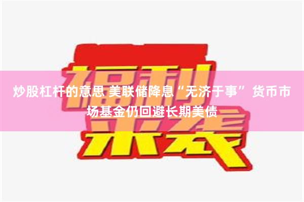 炒股杠杆的意思 美联储降息“无济于事” 货币市场基金仍回避长期美债