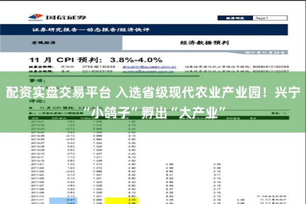 配资实盘交易平台 入选省级现代农业产业园！兴宁“小鸽子”孵出“大产业”