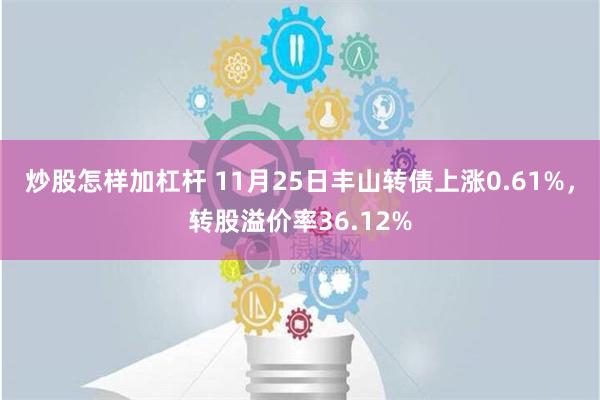 炒股怎样加杠杆 11月25日丰山转债上涨0.61%，转股溢价率36.12%