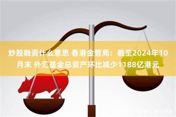 炒股融资什么意思 香港金管局：截至2024年10月末 外汇基金总资产环比减少1188亿港元