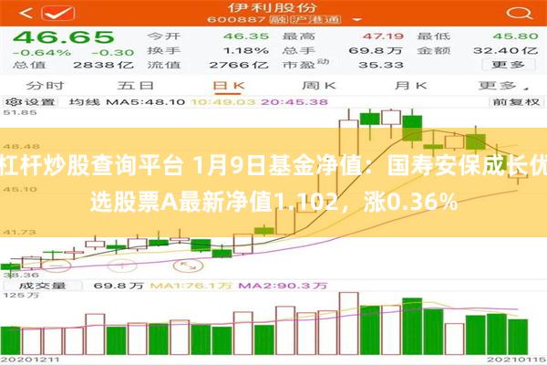 杠杆炒股查询平台 1月9日基金净值：国寿安保成长优选股票A最新净值1.102，涨0.36%