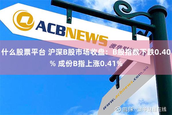 什么股票平台 沪深B股市场收盘：B股指数下跌0.40% 成份B指上涨0.41%